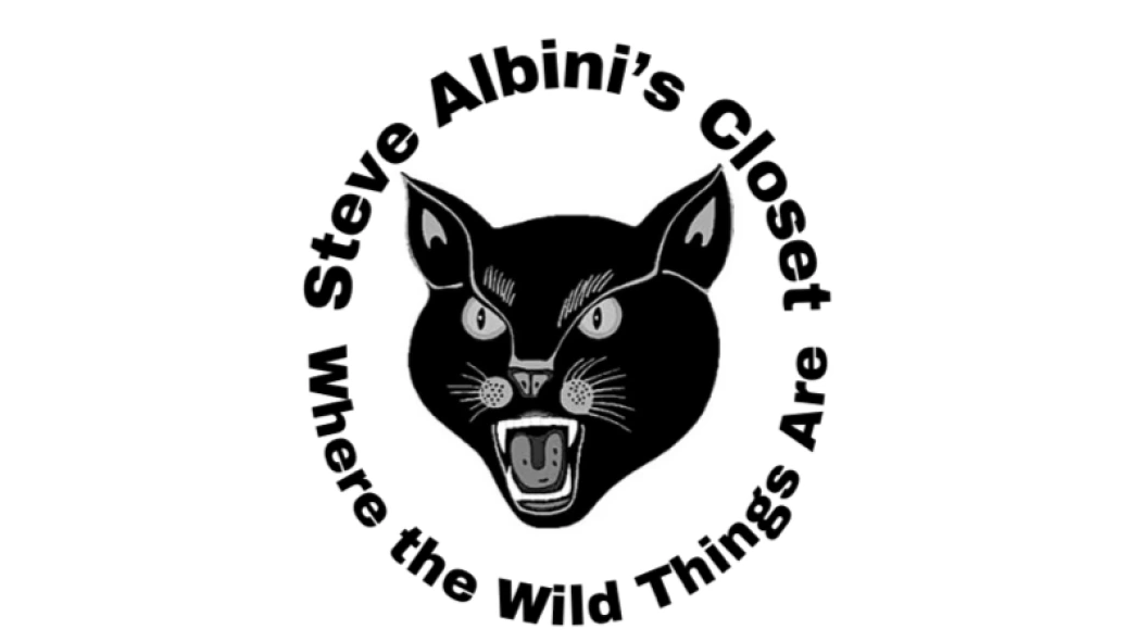 Steve Albini's stuff (LPs, books, posters, more) being sold online