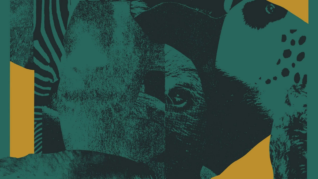 luke temple hungry animal