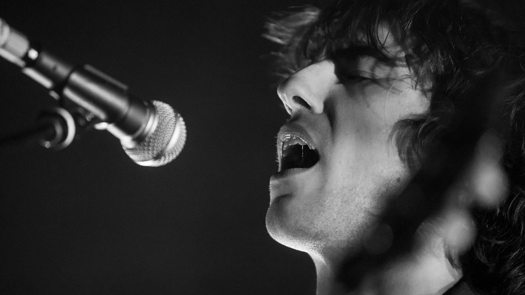 Geese at Brooklyn Paramount