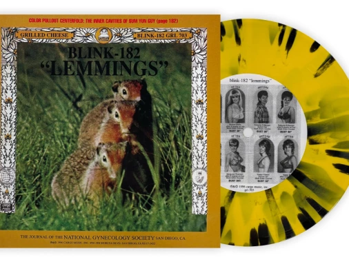 BLINK-182 LP ７インチ 3枚SET New exclusive vinyl: blink-182/Swindle's 'Lemmings' split on