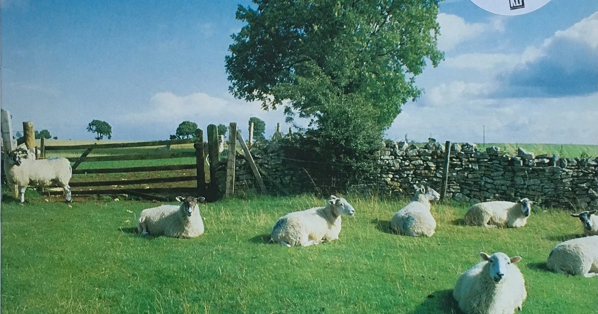 19-The-KLF-Chill-Out.jpg.webp?