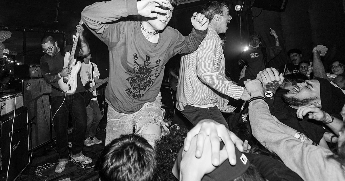attachment-fiddlehead-