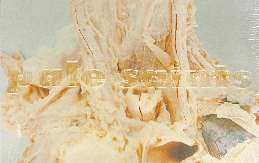 attachment-pale-saints-in-