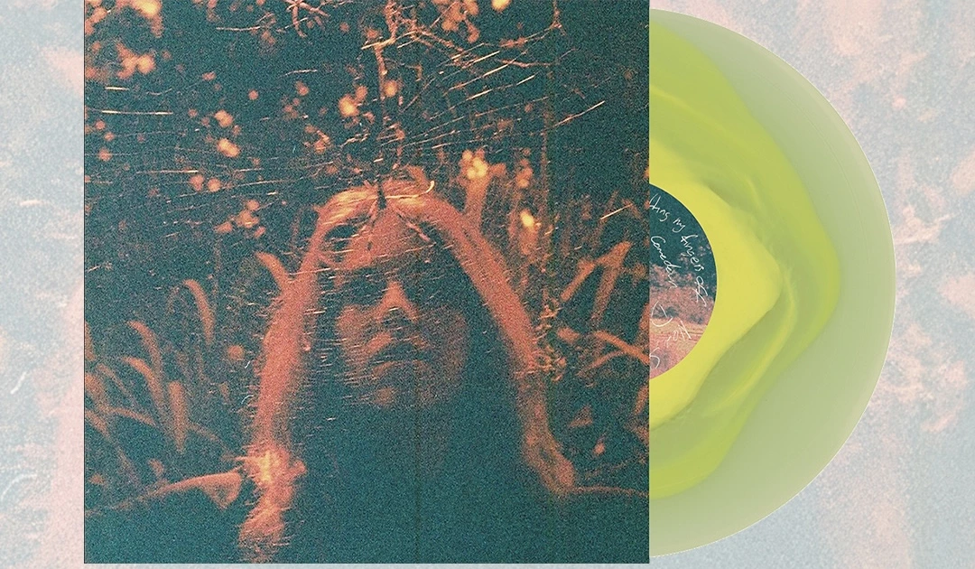 Turnover-PV10.jpg.webp?version