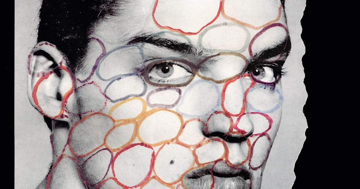 Life Without Buildings' final recording 