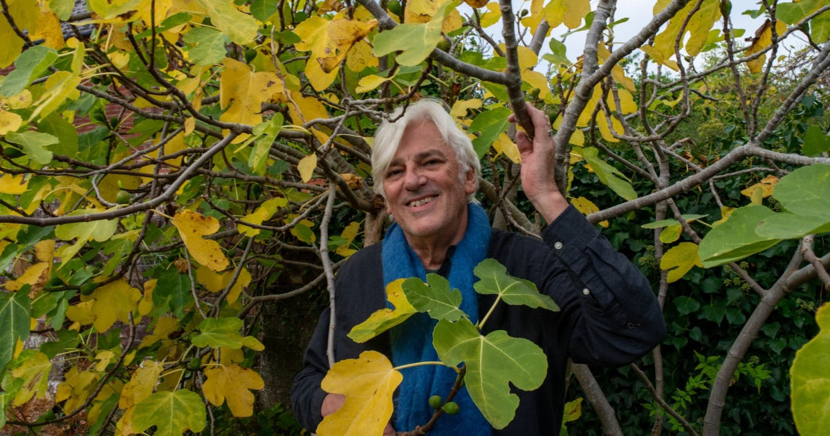 Tour news: Neil Young, Robyn Hitchcock, St. Vincent, Sierra Ferrell, Frankie Cosmos, more