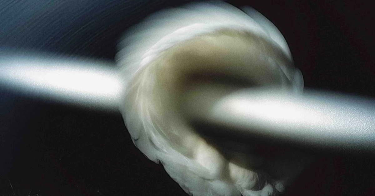 14 New Songs Out Today