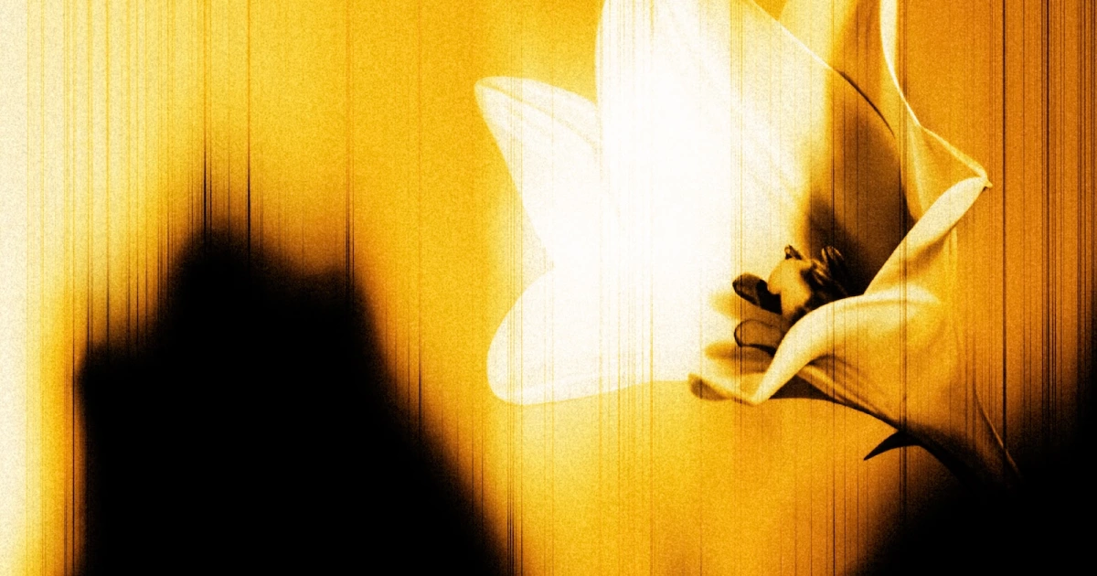 U2 surprise release 'Easter Lily' EP ft Brian Eno