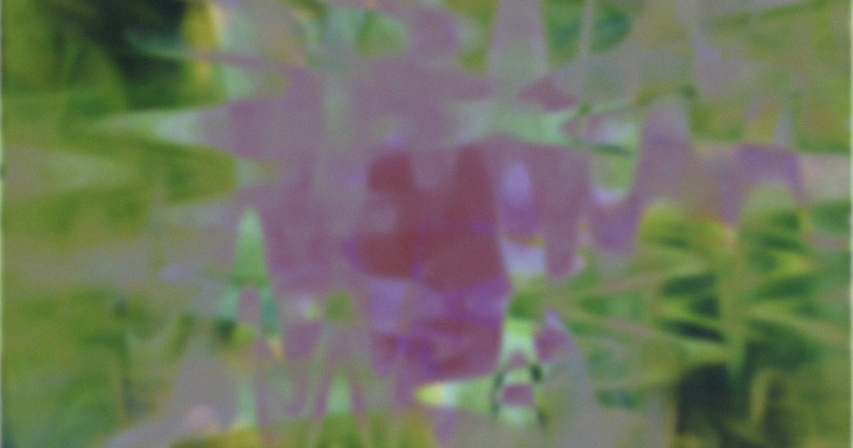 15 New Songs Out Today