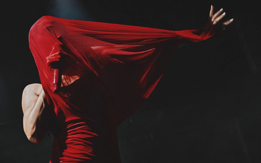 FKA twigs (photo by The Tinfoil Biter)
