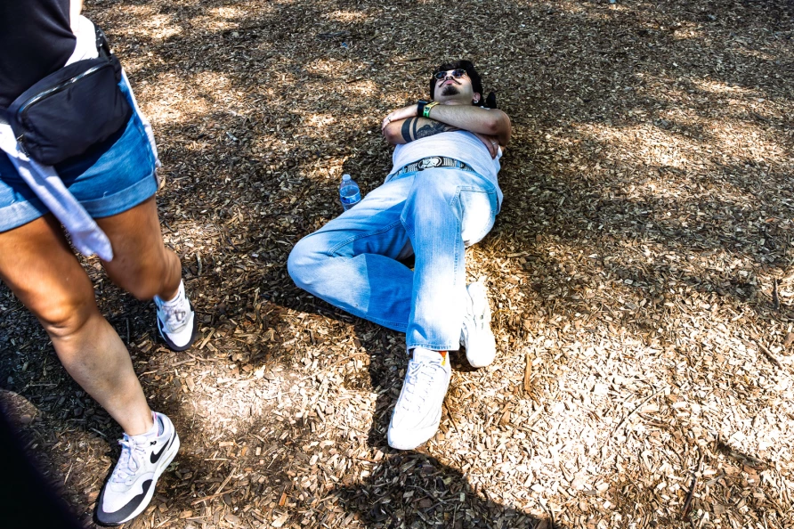 Lollapalooza 2025