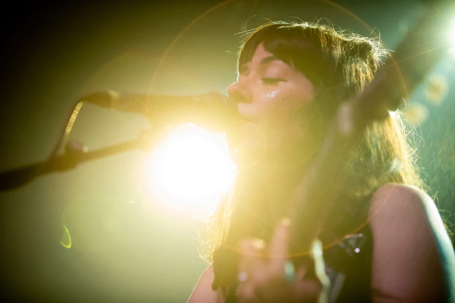 Tele Novella en Webster Hall