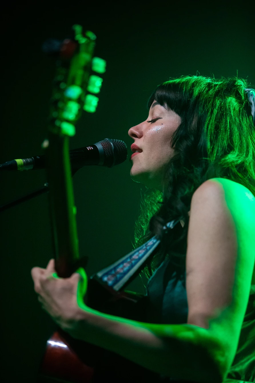 Tele Novella en Webster Hall