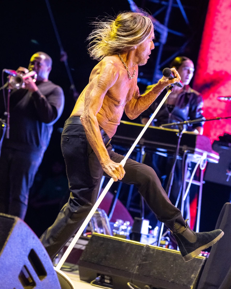 Iggy Pop at CBGB Fest at Under the K Bridge