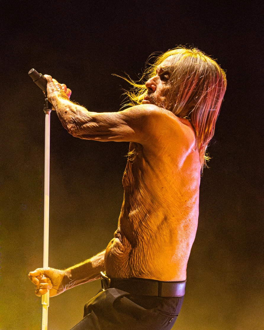 Iggy Pop at CBGB Fest at Under the K Bridge