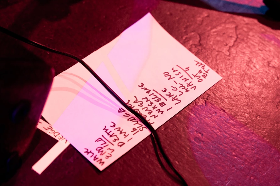 Chicas Vivian en Le Poisson Rouge