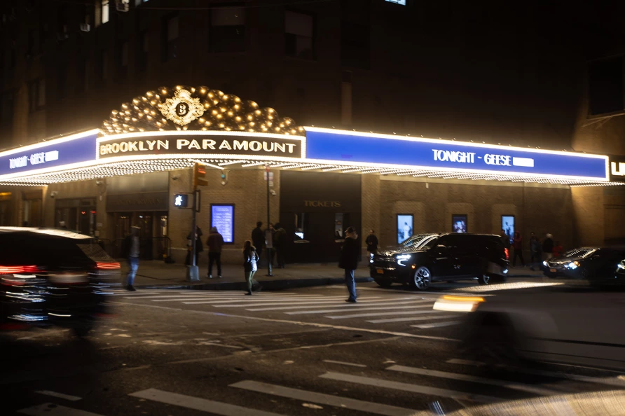 Geese at Brooklyn Paramount