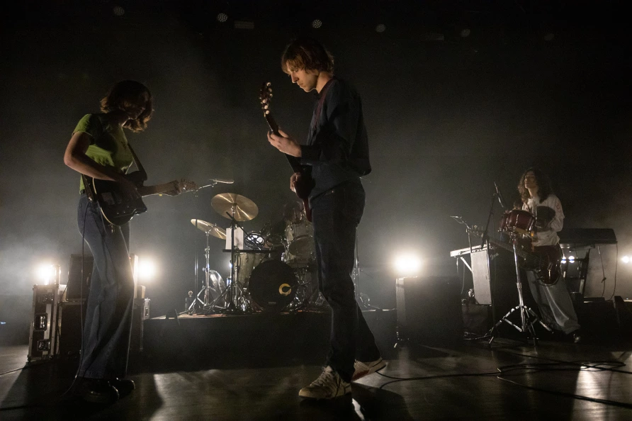 Geese at Brooklyn Paramount