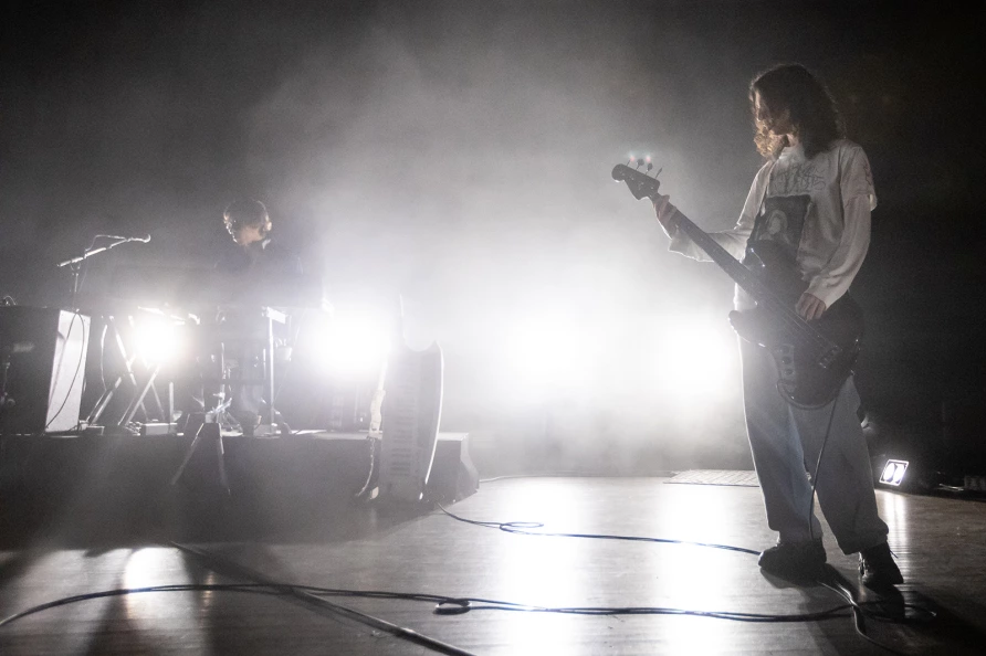 Geese at Brooklyn Paramount