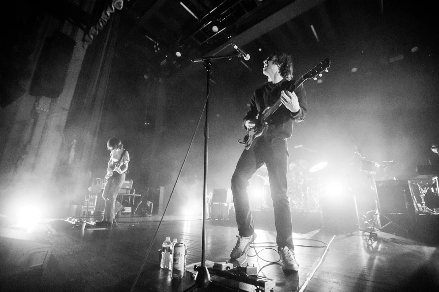 Geese at Brooklyn Paramount