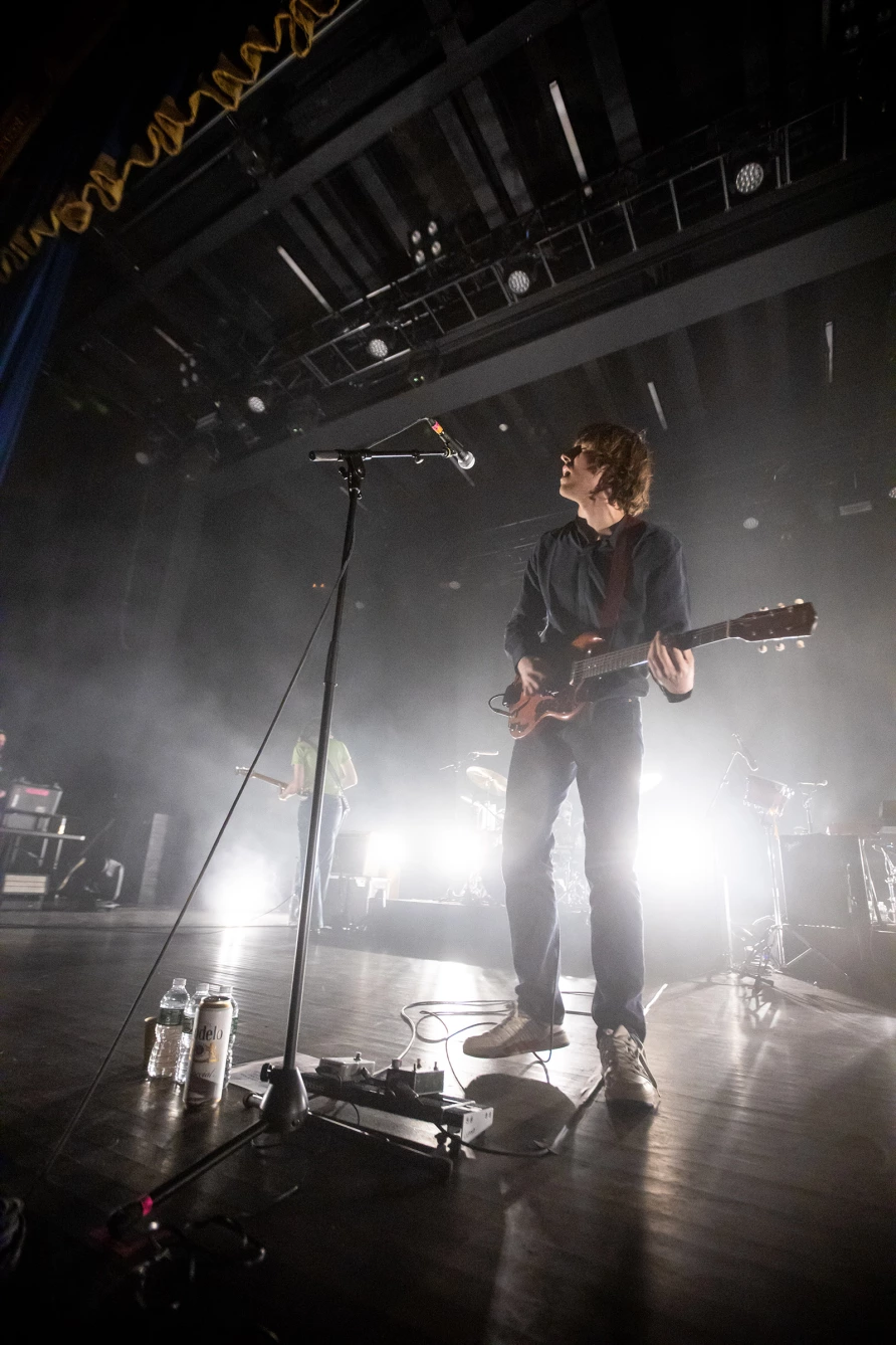 Geese at Brooklyn Paramount