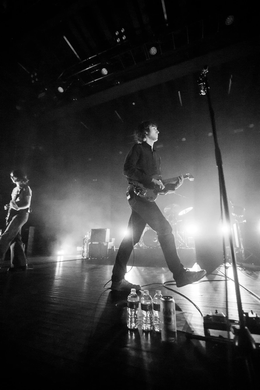 Geese at Brooklyn Paramount