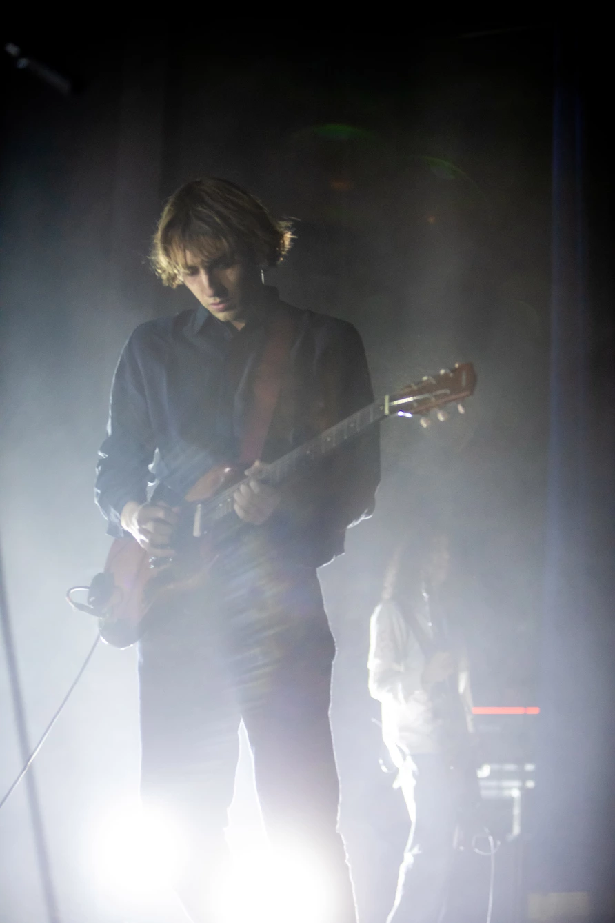 Geese at Brooklyn Paramount