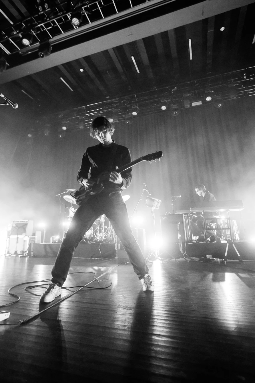 Geese at Brooklyn Paramount