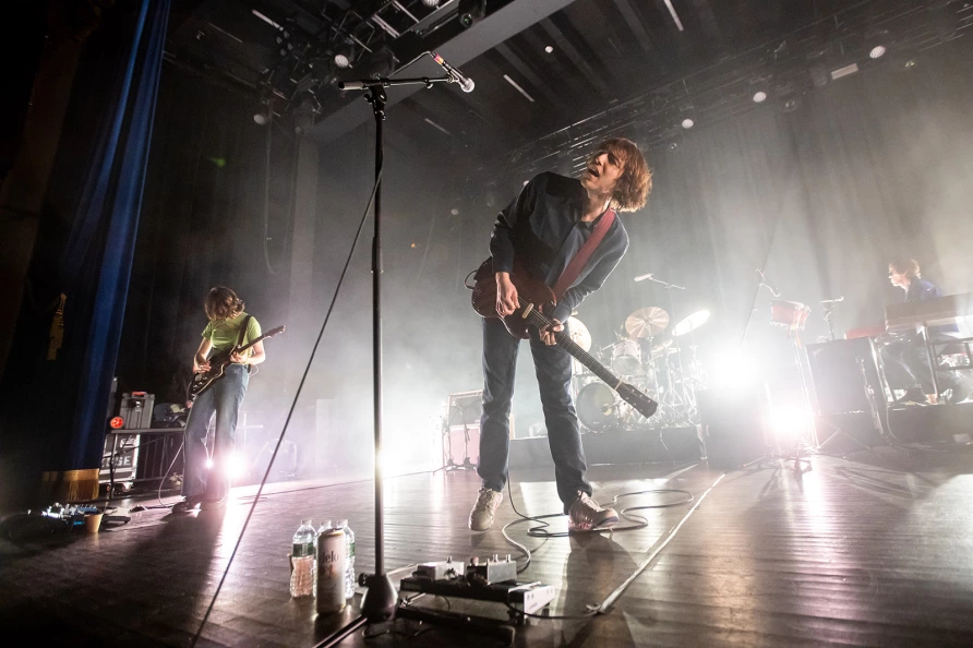 Geese at Brooklyn Paramount