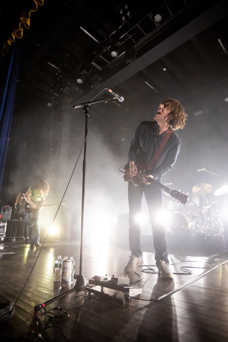 Geese at Brooklyn Paramount