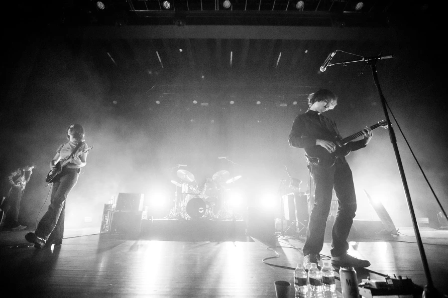 Geese at Brooklyn Paramount