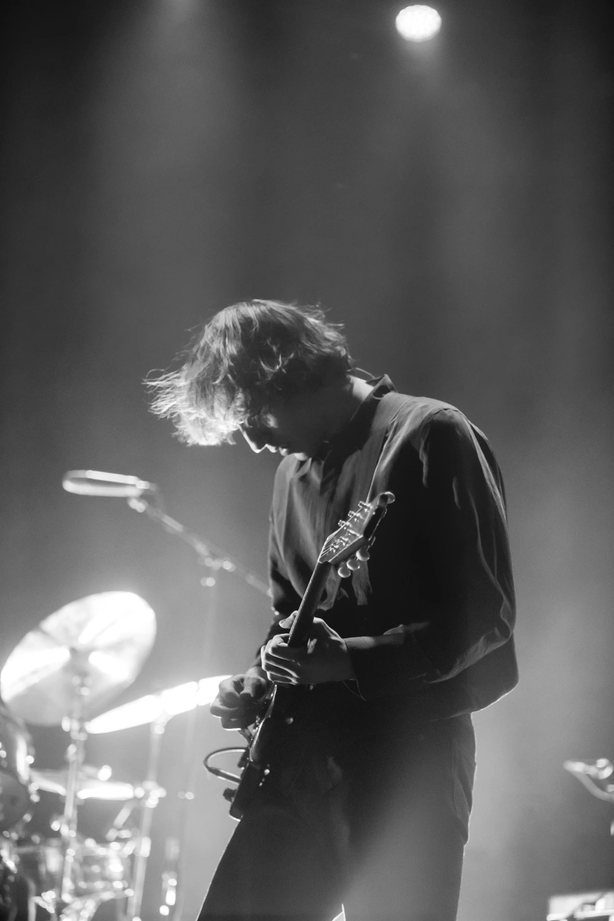 Geese at Brooklyn Paramount