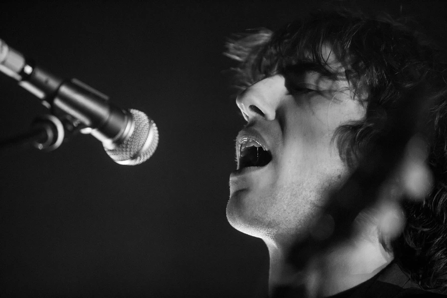 Geese at Brooklyn Paramount