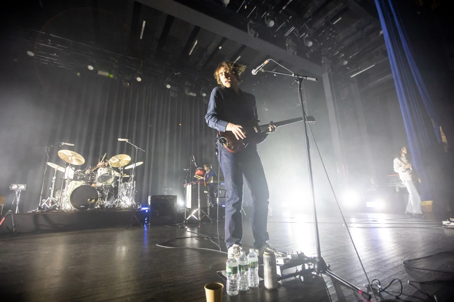 Geese at Brooklyn Paramount