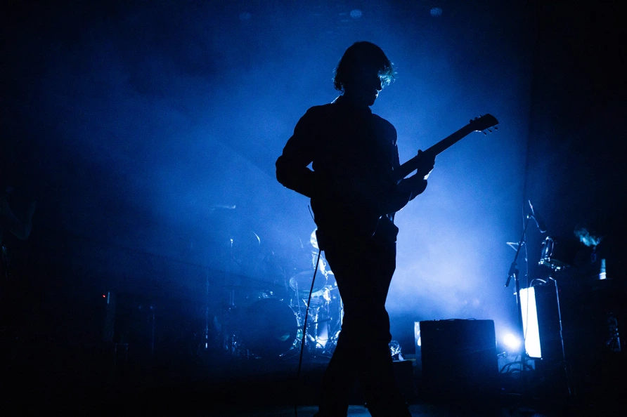Geese at Brooklyn Paramount
