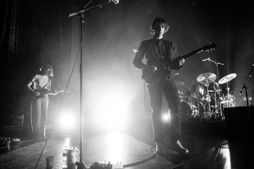 Geese at Brooklyn Paramount