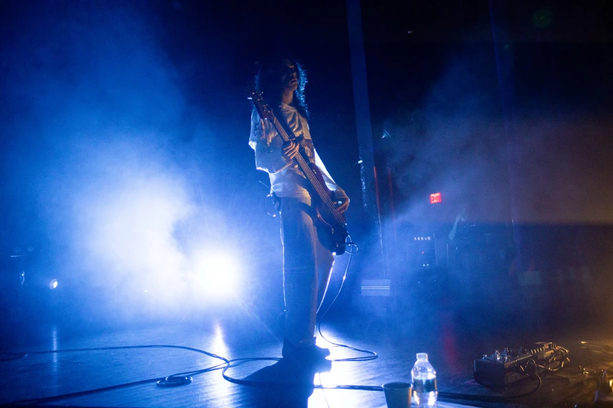 Geese at Brooklyn Paramount