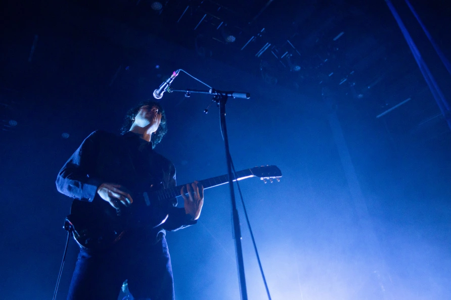 Geese at Brooklyn Paramount
