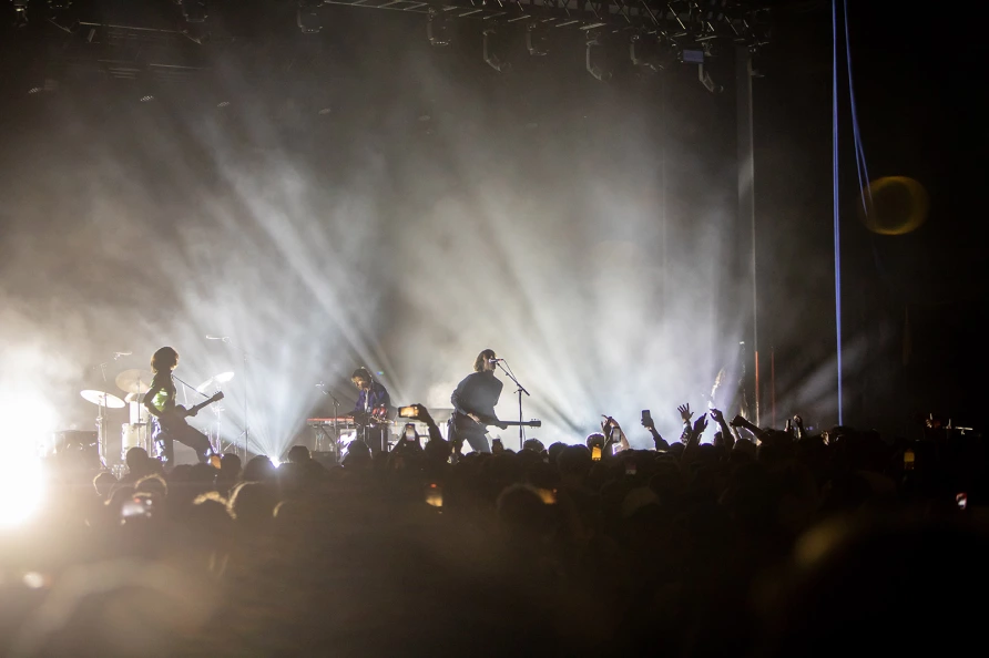 Geese at Brooklyn Paramount