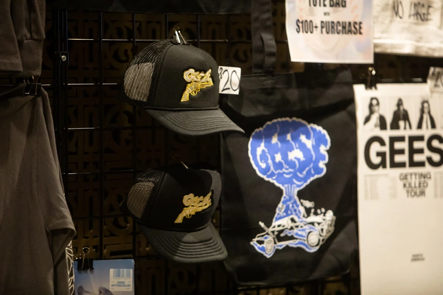 Geese at Brooklyn Paramount