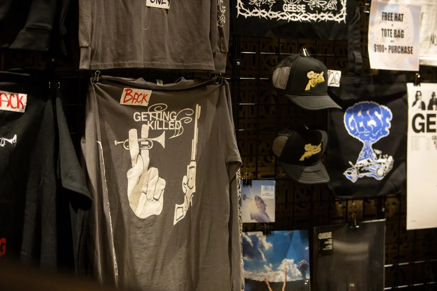 Geese at Brooklyn Paramount