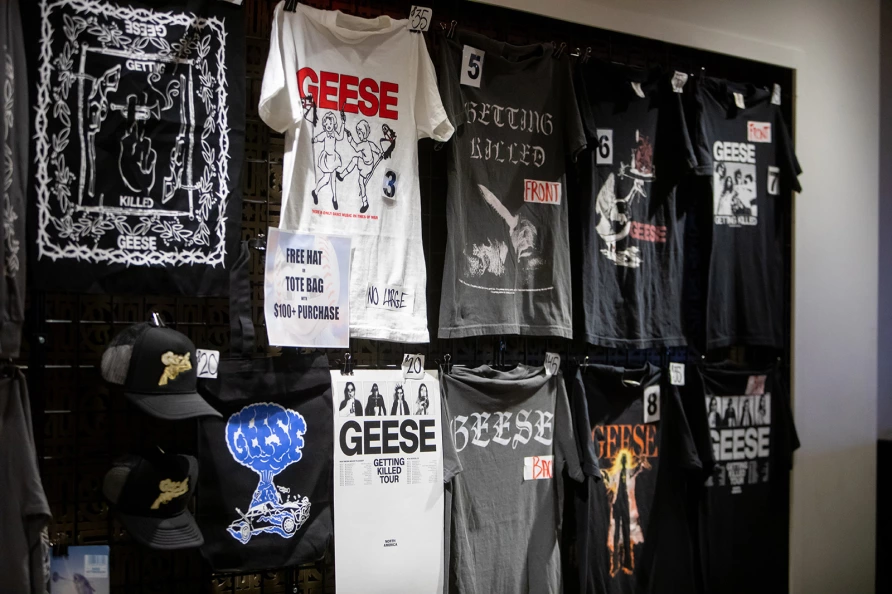 Geese at Brooklyn Paramount