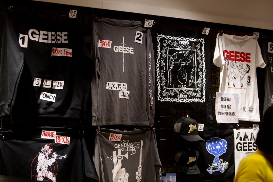 Geese at Brooklyn Paramount