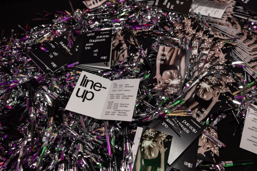 Robyn at Brooklyn Paramount