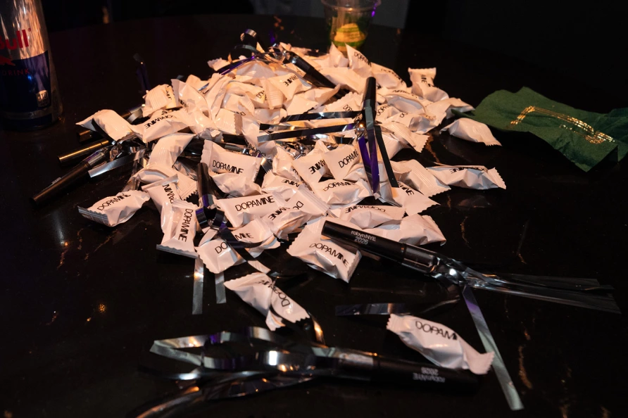 Robyn at Brooklyn Paramount