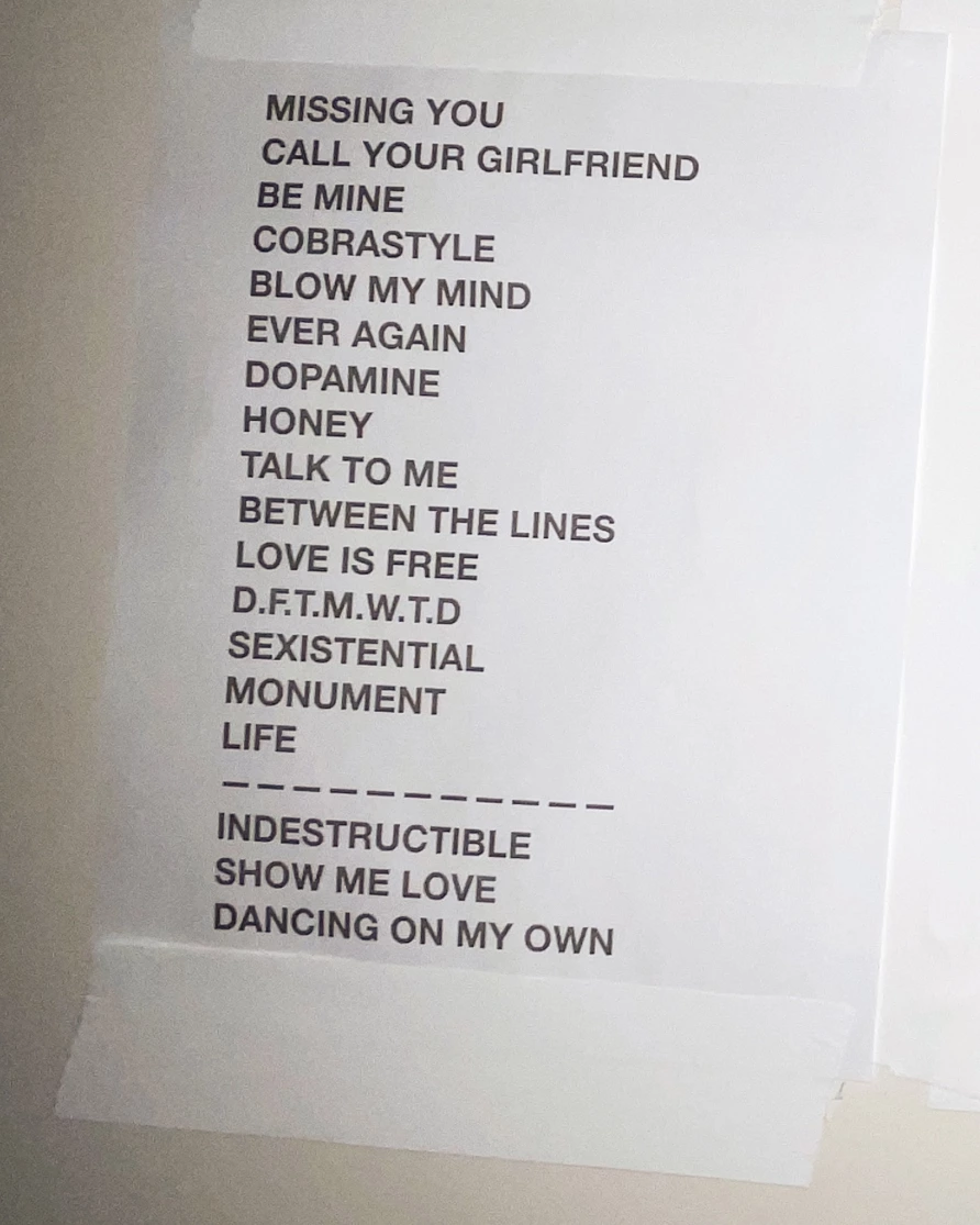 Robyn at Brooklyn Paramount