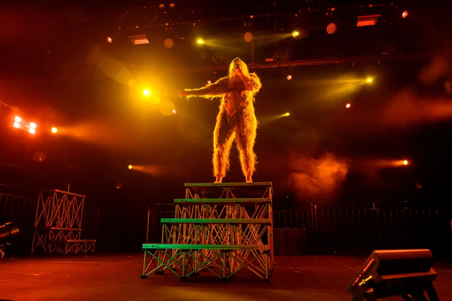 Peaches at Knockdown Center