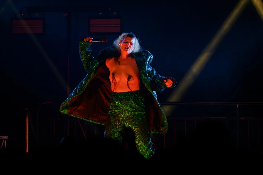 Peaches at Knockdown Center