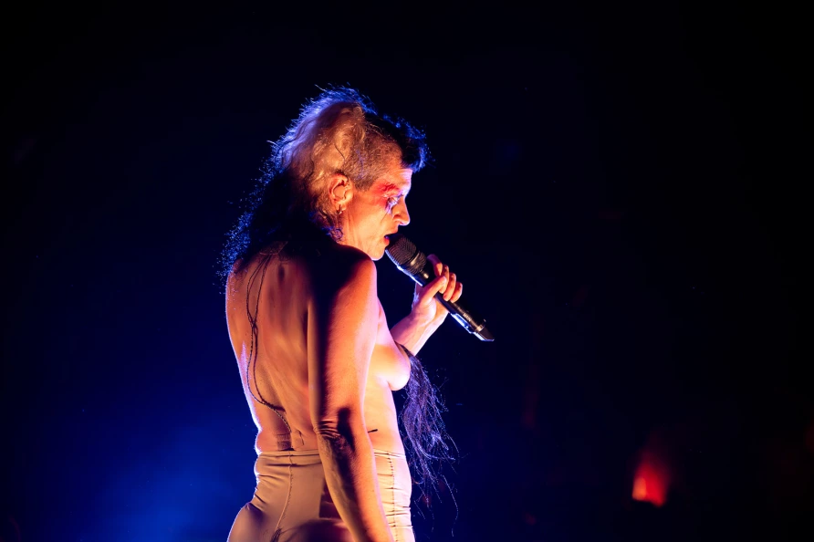 Peaches at Knockdown Center