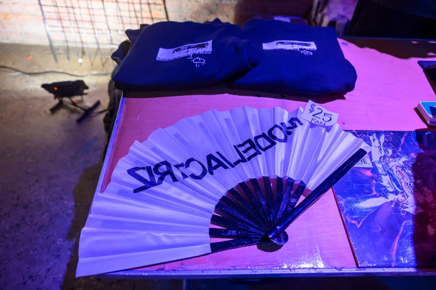 Peaches at Knockdown Center